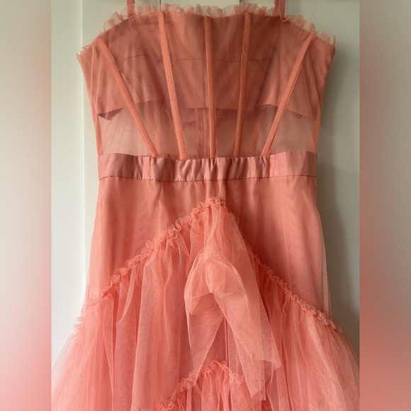 NWOT Z Crave DIDA Tulle Prom Formal Dress in Pink - Size Small - Picture 10 of 13